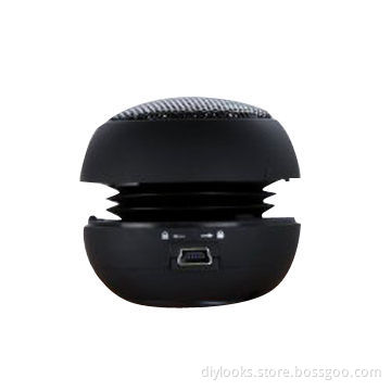 Mini Speaker